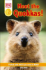 Meet_the_quokkas_