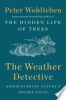 The_weather_detective