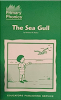 The_Sea_Gull
