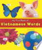 My_first_book_of_Vietnamese_words