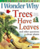 I_wonder_why_trees_have_leaves