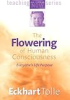 The_flowering_of_human_consciousness