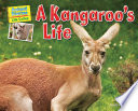 A_kangaroo_s_life