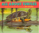 All_about_turtles