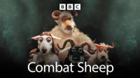 Combat_Sheep
