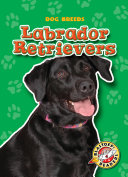 Labrador_retrievers