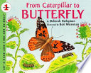 From_caterpillar_to_butterfly