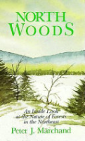 North_woods
