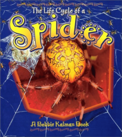 The_life_cycle_of_a_spider