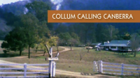 Collum_calling_Canberra