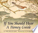 If_you_should_hear_a_honey_guide