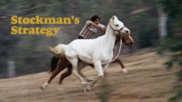 Stockman_s_strategy