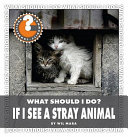 If_I_see_a_stray_animal