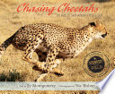 Chasing_cheetahs
