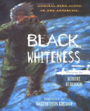 Black_whiteness