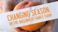 Changing_Season__On_the_Masumoto_Family_Farm