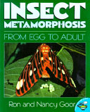 Insect_metamorphosis
