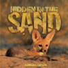 Hidden_in_the_sand