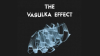 The_Vasulka_Effect