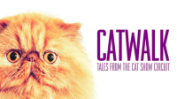 Catwalk__Tales_from_the_Cat_Show_Circuit