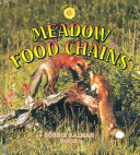 Meadow_food_chains