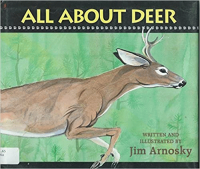 All_about_deer